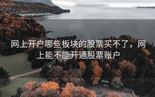 网上开户哪些板块的股票买不了，网上能不能开通股票账户