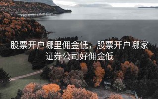 股票开户哪里佣金低，股票开户哪家证券公司好佣金低