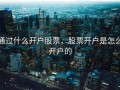 通过什么开户股票，股票开户是怎么开户的