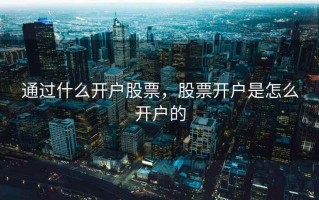 通过什么开户股票，股票开户是怎么开户的