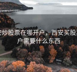 西安炒股票在哪开户，西安买股票开户需要什么东西