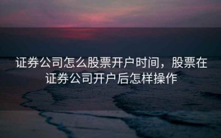 证券公司怎么股票开户时间，股票在证券公司开户后怎样操作