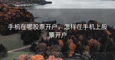 手机在哪股票开户，怎样在手机上股票开户