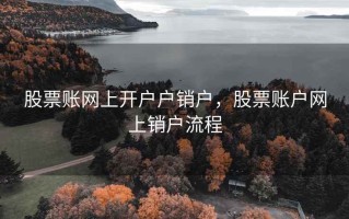 股票账网上开户户销户，股票账户网上销户流程