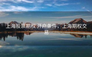 上海股票期权 开户条件，上海期权交易
