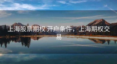 上海股票期权 开户条件，上海期权交易