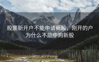 股票新开户不能申请新股，刚开的户为什么不能申购新股