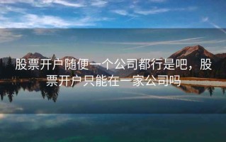 股票开户随便一个公司都行是吧，股票开户只能在一家公司吗