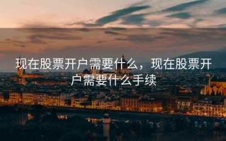 现在股票开户需要什么，现在股票开户需要什么手续