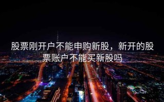 股票刚开户不能申购新股，新开的股票账户不能买新股吗
