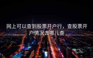 网上可以查到股票开户行，查股票开户情况去哪儿查