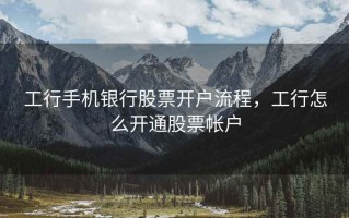 工行手机银行股票开户流程，工行怎么开通股票帐户