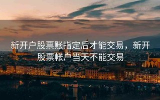 新开户股票账指定后才能交易，新开股票帐户当天不能交易