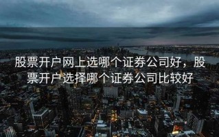 股票开户网上选哪个证券公司好，股票开户选择哪个证券公司比较好