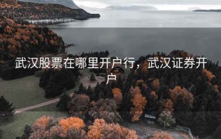武汉股票在哪里开户行，武汉证券开户