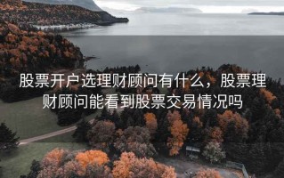 股票开户选理财顾问有什么，股票理财顾问能看到股票交易情况吗