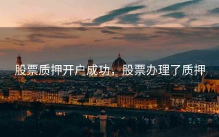 股票质押开户成功，股票办理了质押