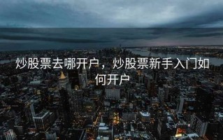 炒股票去哪开户，炒股票新手入门如何开户