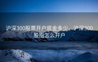 沪深300股票开户底金多少，沪深300股指怎么开户
