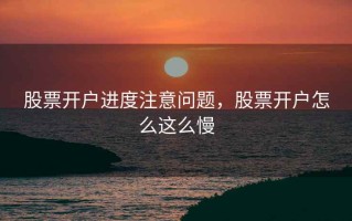 股票开户进度注意问题，股票开户怎么这么慢