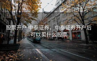股票开户 中泰证券，中泰证券开户后可以买什么股票