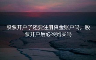 股票开户了还要注册资金账户吗，股票开户后必须购买吗