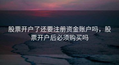 股票开户了还要注册资金账户吗，股票开户后必须购买吗