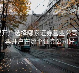 股票开户选择哪家证券营业公司，股票开户在哪个证券公司好
