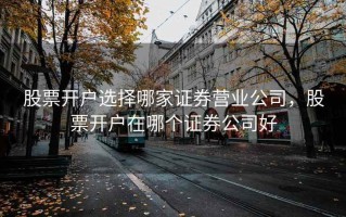 股票开户选择哪家证券营业公司，股票开户在哪个证券公司好