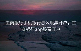 工商银行手机银行怎么股票开户，工商银行app股票开户