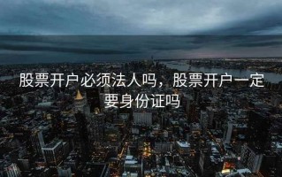 股票开户必须法人吗，股票开户一定要身份证吗