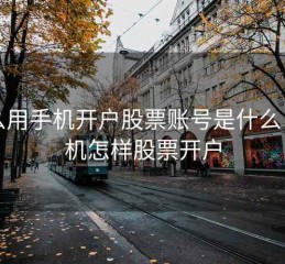 怎么用手机开户股票账号是什么，手机怎样股票开户