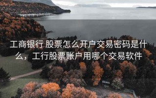 工商银行 股票怎么开户交易密码是什么，工行股票账户用哪个交易软件