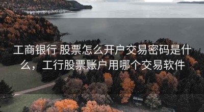 工商银行 股票怎么开户交易密码是什么，工行股票账户用哪个交易软件