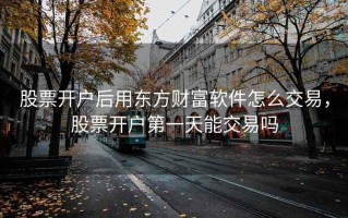股票开户后用东方财富软件怎么交易，股票开户第一天能交易吗