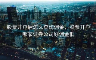 股票开户后怎么查询佣金，股票开户哪家证券公司好佣金低