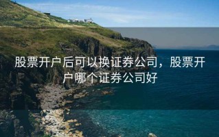 股票开户后可以换证券公司，股票开户哪个证券公司好