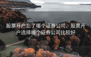 股票开户忘了哪个证券公司，股票开户选择哪个证券公司比较好