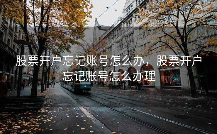 股票开户忘记账号怎么办，股票开户忘记账号怎么办理