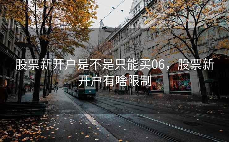 股票新开户是不是只能买06，股票新开户有啥限制