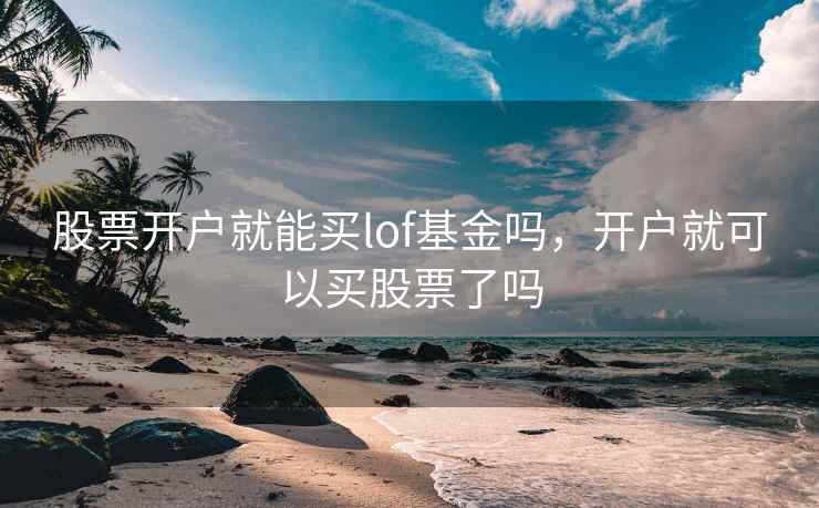 股票开户就能买lof基金吗，开户就可以买股票了吗