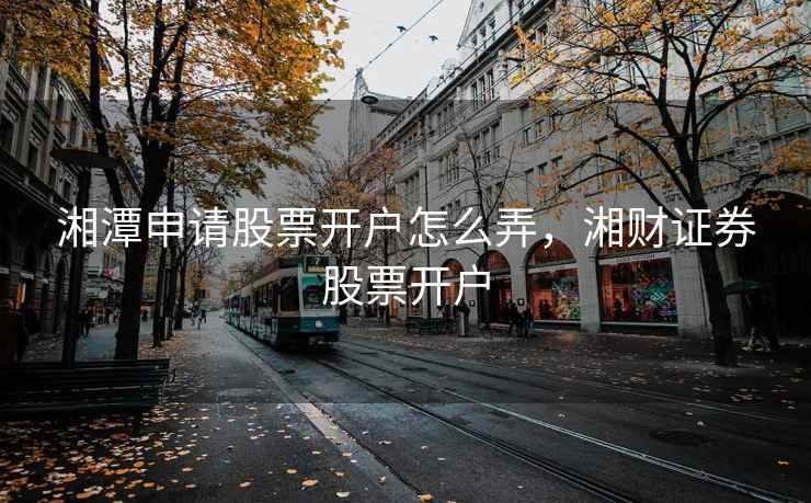 湘潭申请股票开户怎么弄，湘财证券股票开户