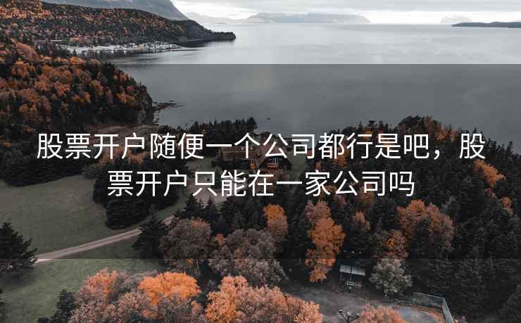 股票开户随便一个公司都行是吧，股票开户只能在一家公司吗
