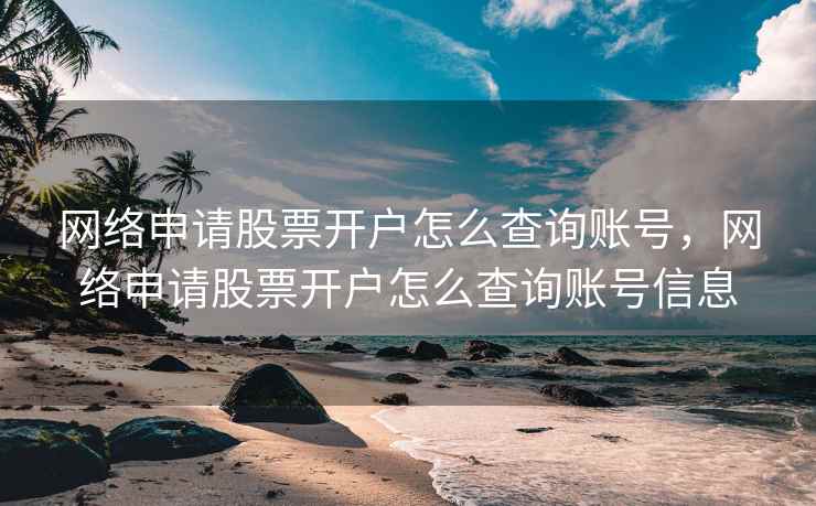 网络申请股票开户怎么查询账号，网络申请股票开户怎么查询账号信息
