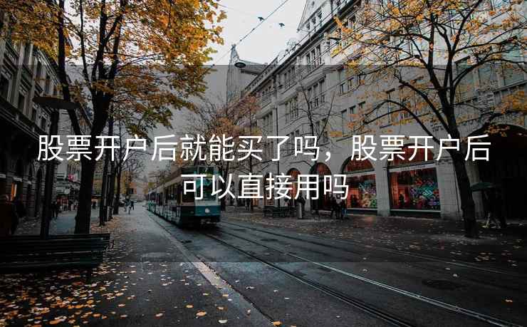 股票开户后就能买了吗，股票开户后可以直接用吗