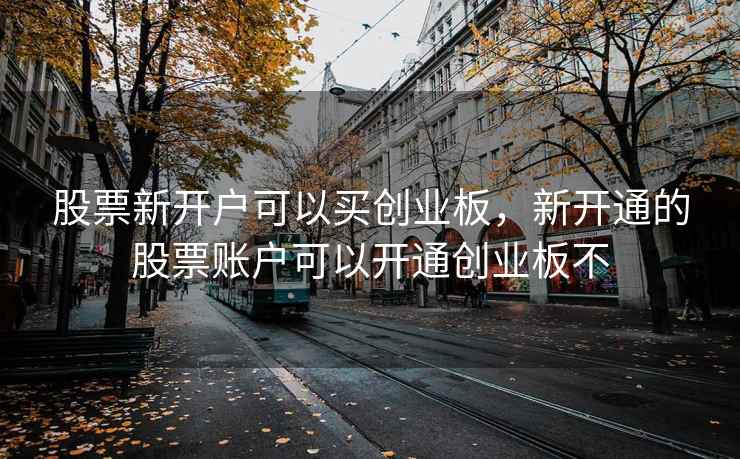 股票新开户可以买创业板，新开通的股票账户可以开通创业板不