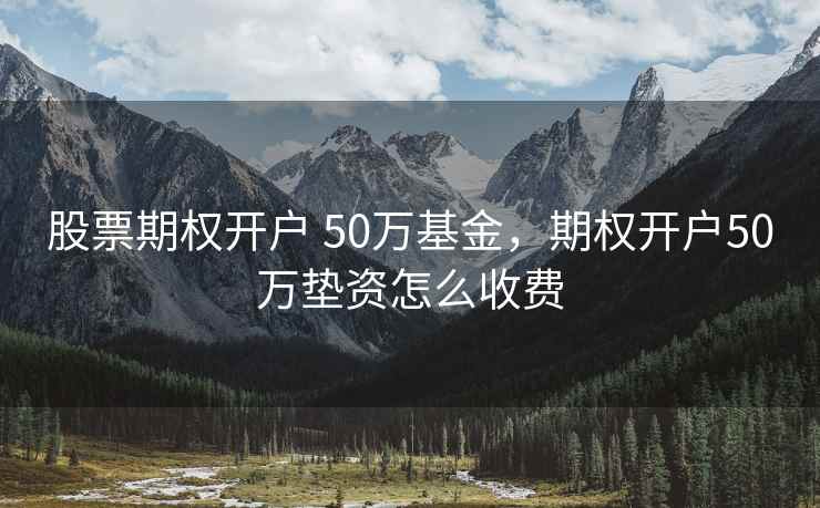 股票期权开户 50万基金，期权开户50万垫资怎么收费
