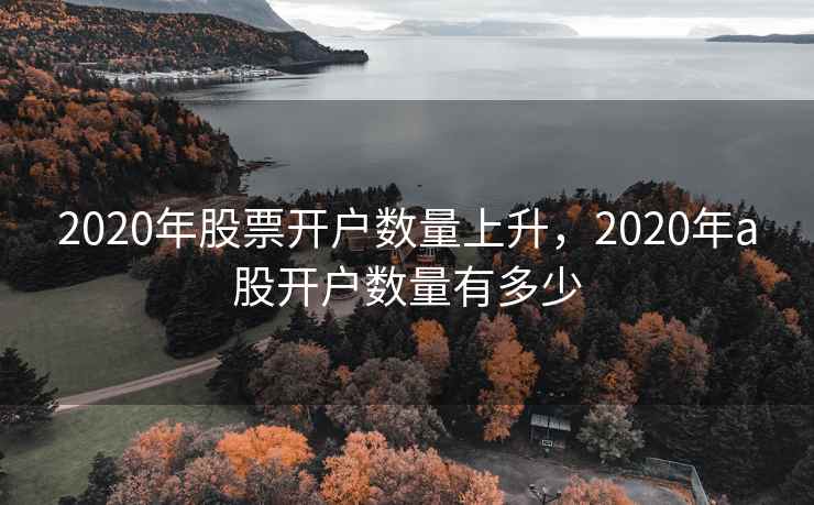 2020年股票开户数量上升，2020年a股开户数量有多少