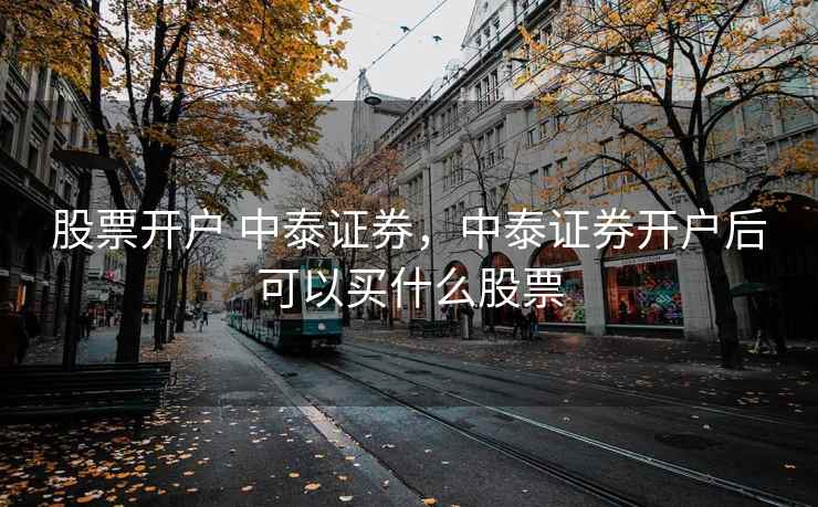 股票开户 中泰证券，中泰证券开户后可以买什么股票