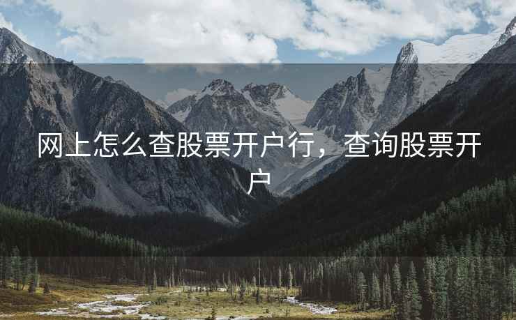 网上怎么查股票开户行，查询股票开户